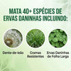 Healrize Herbicida de Acao Dupla
