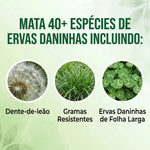 Healrize Herbicida de Acao Dupla