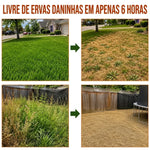 Healrize Herbicida de Acao Dupla