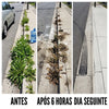 Healrize Herbicida de Acao Dupla