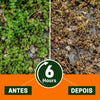 Healrize Herbicida de Acao Dupla